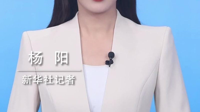 生物技术研发外包服务流程解析**